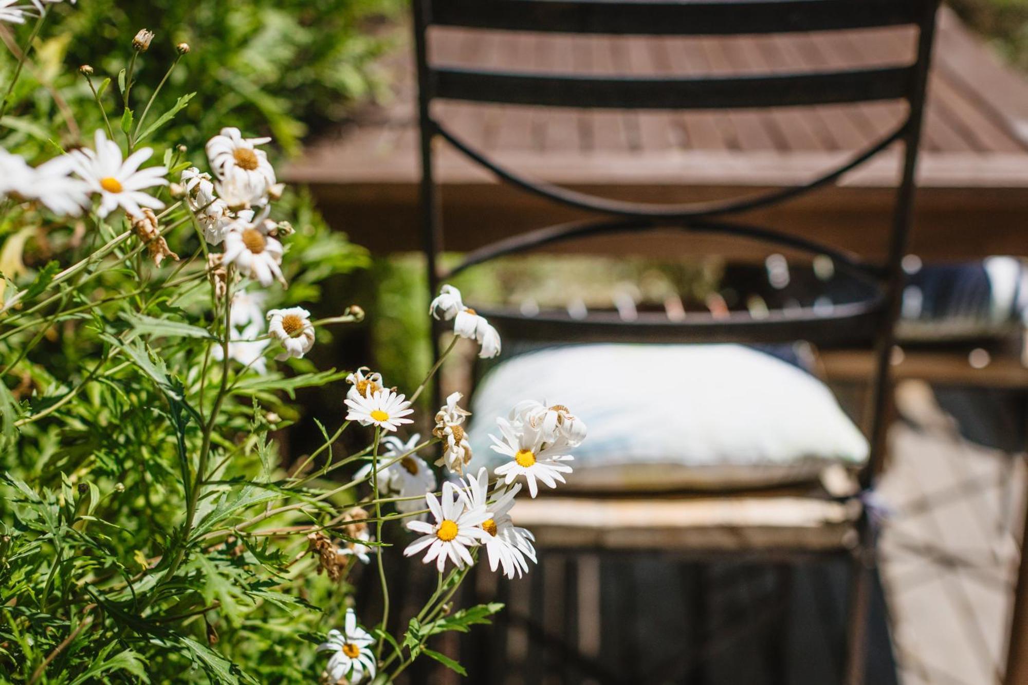 Holiday home Herb *